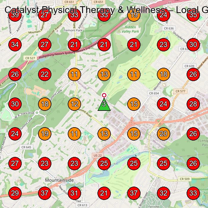 Catalyst Physical Therapy & Wellness GeoGrid visibility map for Physical Therapist in Edison